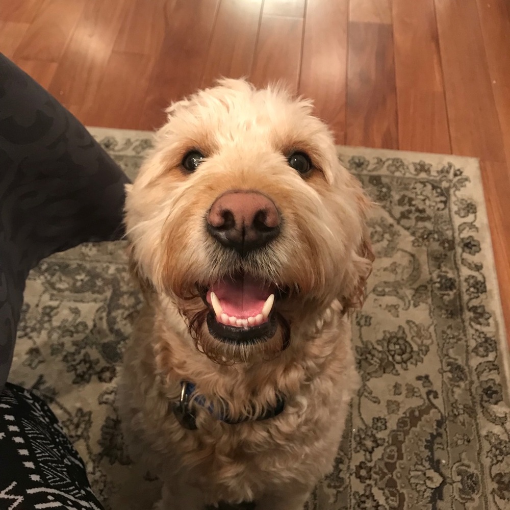 Meet your Posher, Tina